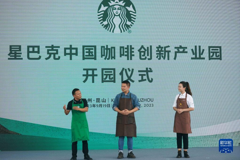 菠菜资讯网大全